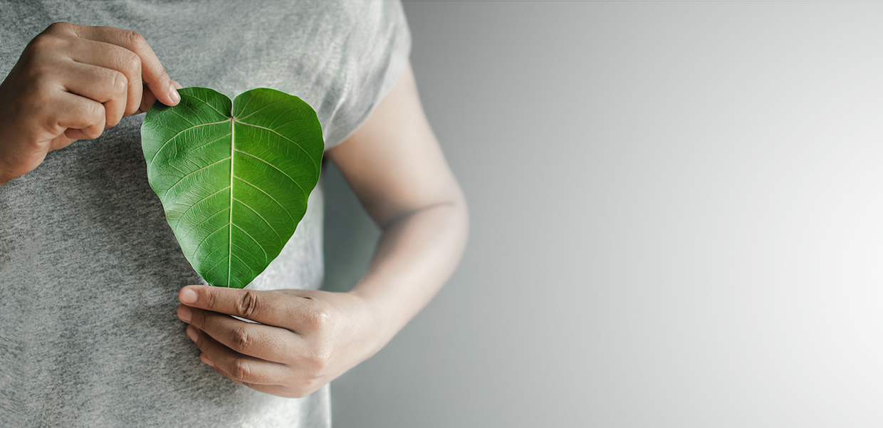 Nachhaltigkeit bei der ABF in Fürth